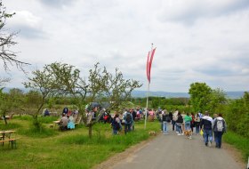 Gau-Algesheimer Weinlagenwanderung &copy; VG Gau-Algesheim_Armin Kleisinger