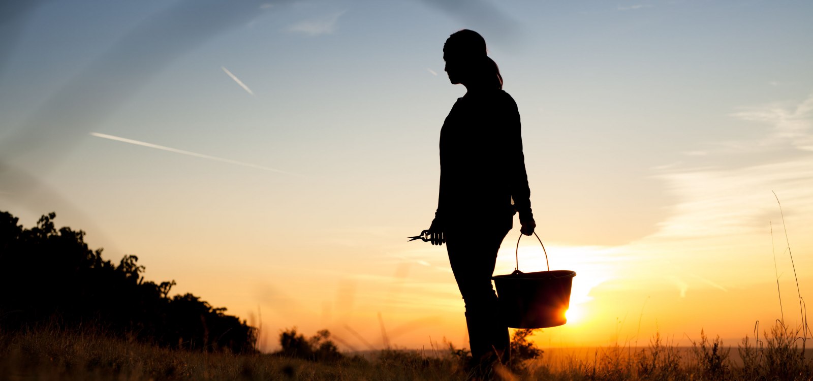 schittler1, © Weingut Schittler & Becker