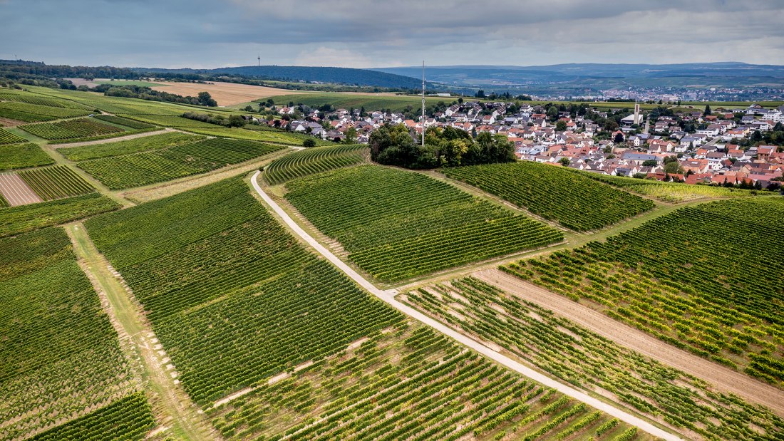 Hackenheimer Kirchberg