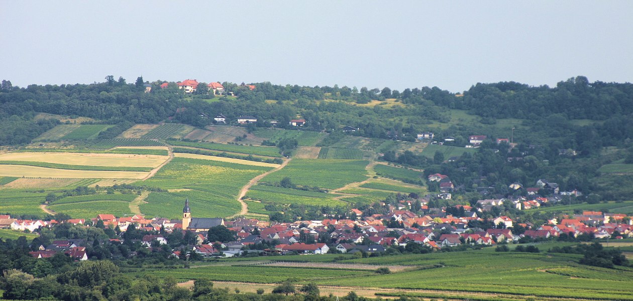 &copy; FamilienWeinGut Feser
