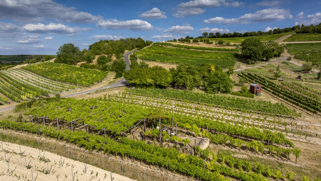 Sankt Johanner Klostergarten, © Torsten Silz