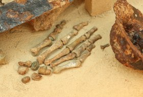 Handknochen des fränkischen Kriegers zwischen Spatha (Langschwert) und eisernem Schildbuckel des einstigen Holzschildes (nicht mehr erhalten). © Alexander Sell/IkUM GmbH