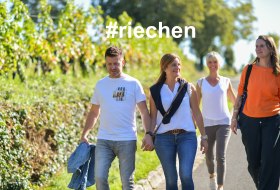 Ingelheim riechen © Angelika Stehle/Stadt Ingelheim