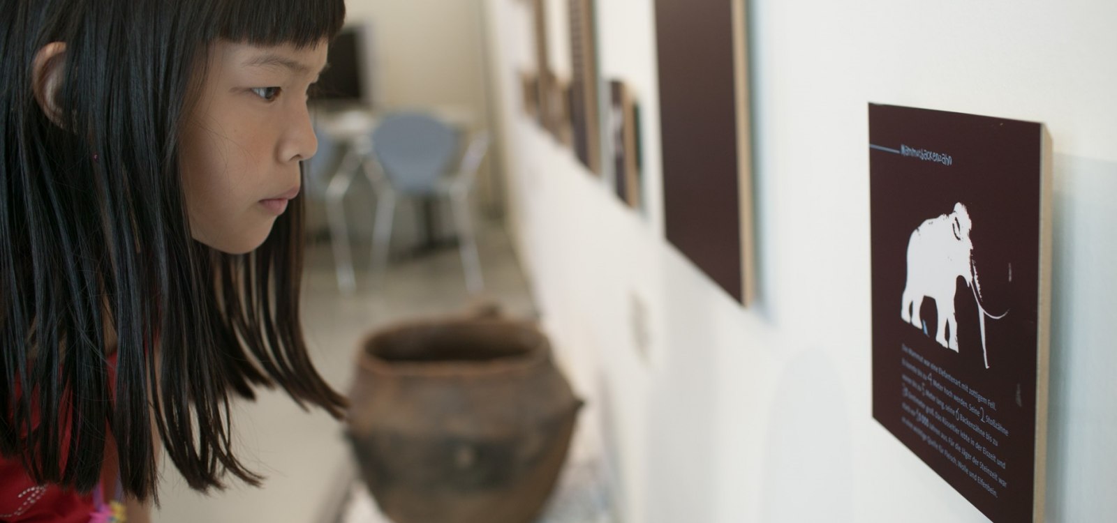 Schon die ersten Menschen in Ingelheim haben vor &uuml;ber 300.000 Jahren Spuren hinterlassen, die heute im Museum bei der Kaiserpfalz bestaunt werden k&ouml;nnen., &copy; Museum bei der Kaiserpfalz, Foto: Albrecht Haag
