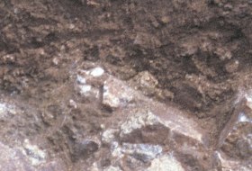 Vulkanstein Braunerde © Landesamt für Geologie und Bergbau Rheinland-Pfalz