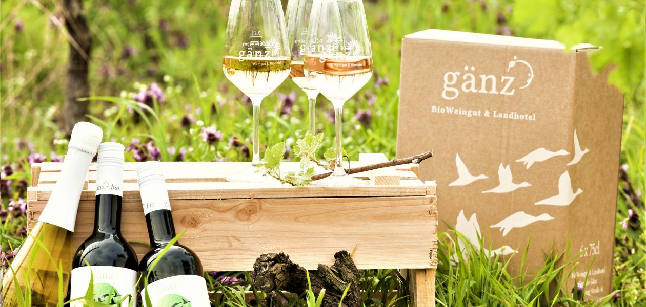wijnmakerij-gaenz-flessen-en-glazen, &copy; Weingut G&auml;nz