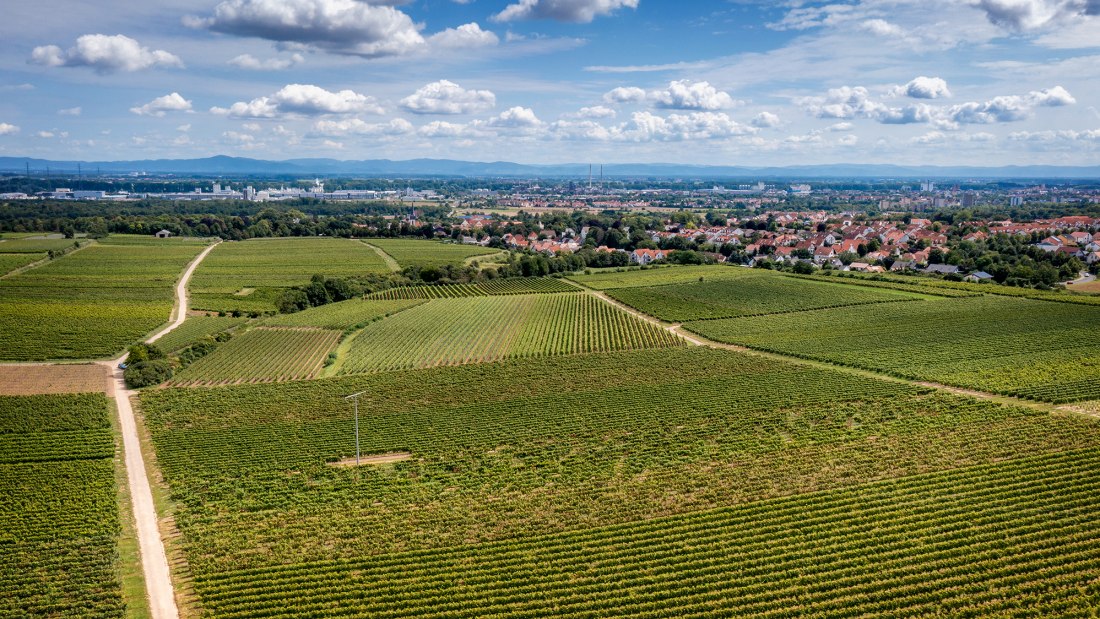 Herrnsheimer Schloß
