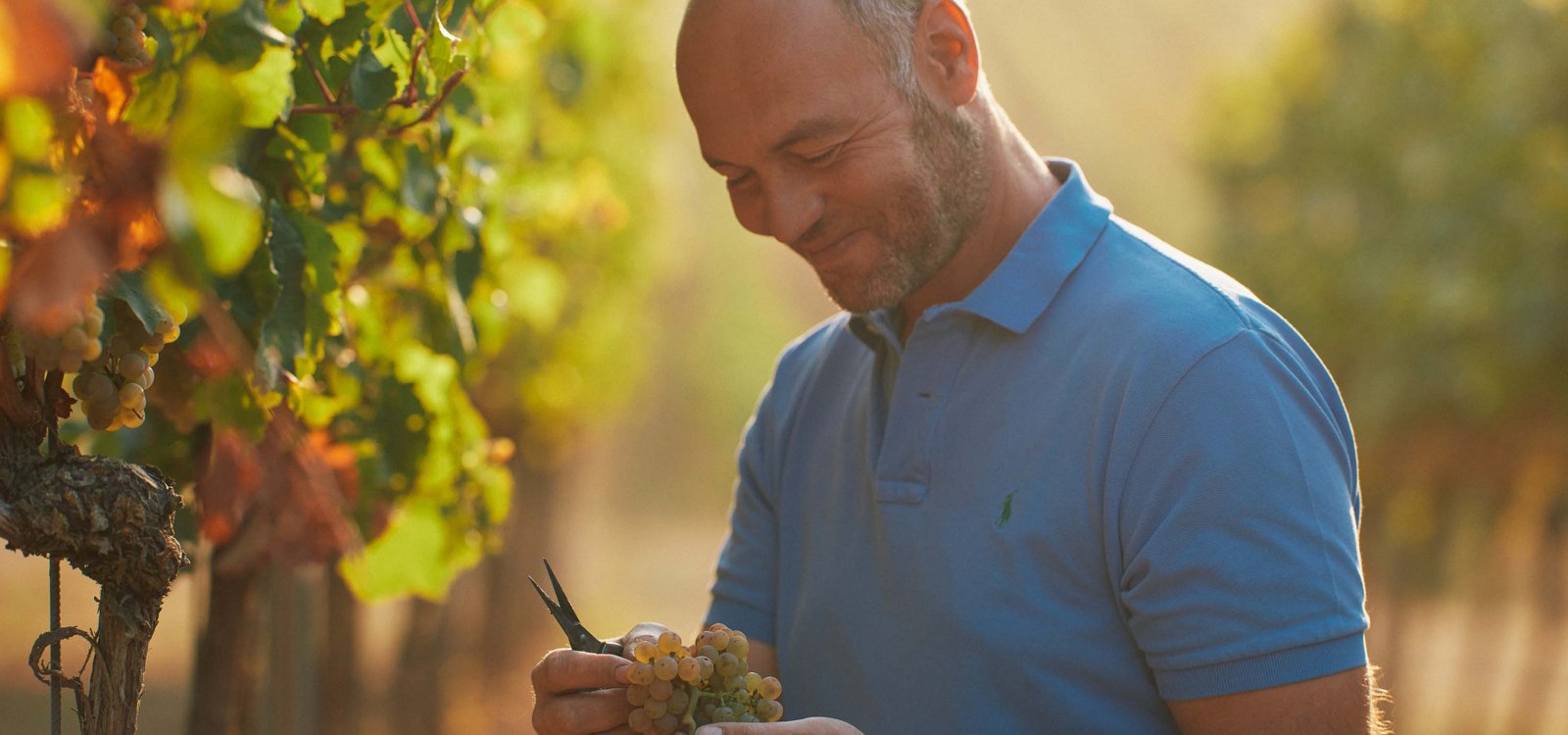 Weingut Dr. Koehler_Christian Drei&szlig;igacker, &copy; Weingut Dr. Koehler