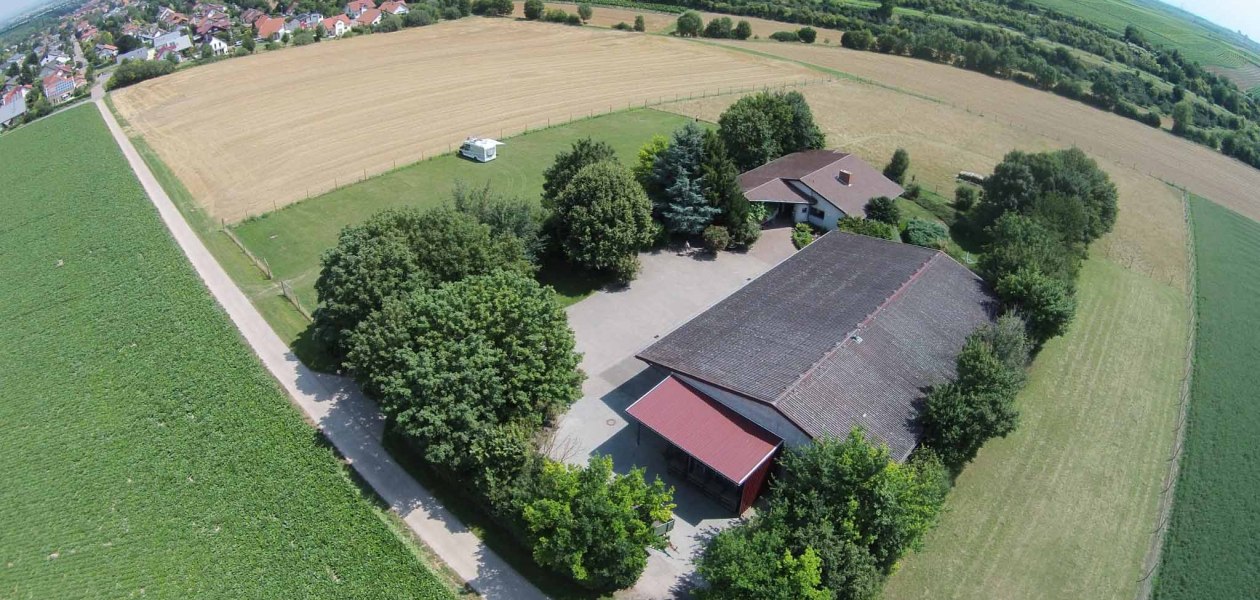 wijnmakerij borntaler hof buitenaanzicht, &copy; Weingut Borntaler Hof