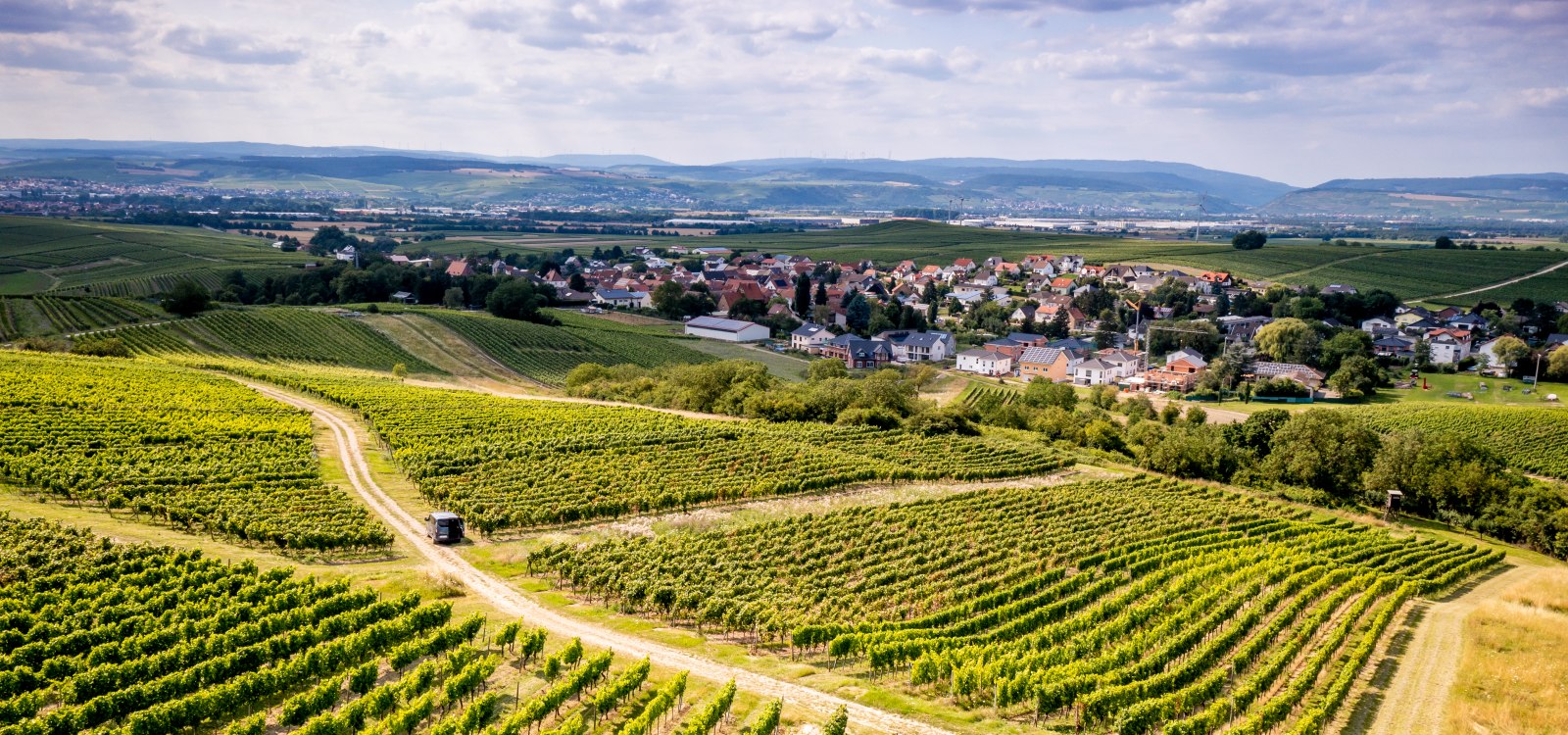 Horrweiler Gew&uuml;rzg&auml;rtchen, &copy; Torsten Silz