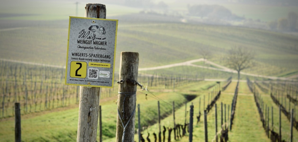 Weingut Wagner_Weinberg, &copy; Weingut Wagner