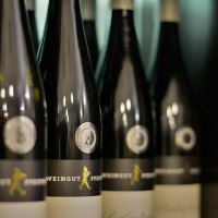 Vinothek 4 © Ullrich Knapp