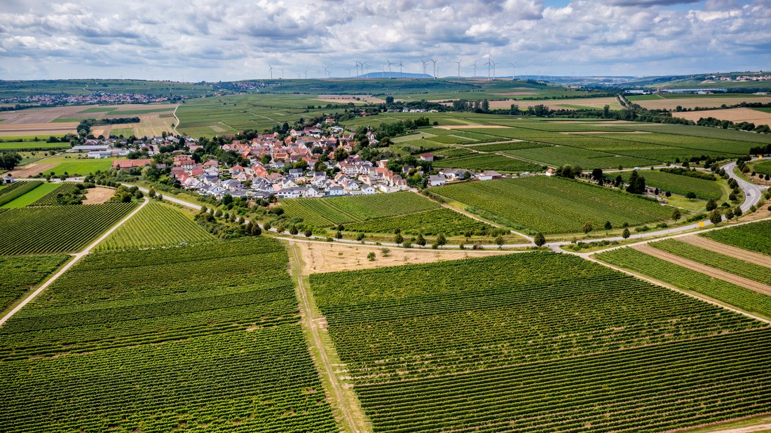 Hohen-Sülzener Kirchenstück