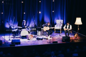 260411_Wohnzimmerkonzert (c) Christian Hattemer 20