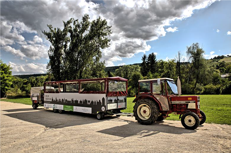 Im Planwagen auf den Spuren der Ingelheimer Weine, &copy; Rainer Oppenheimer/IKuM GmbH