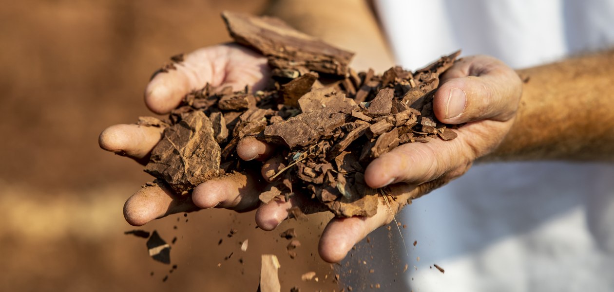 Weingut Raddeck_H&auml;nde