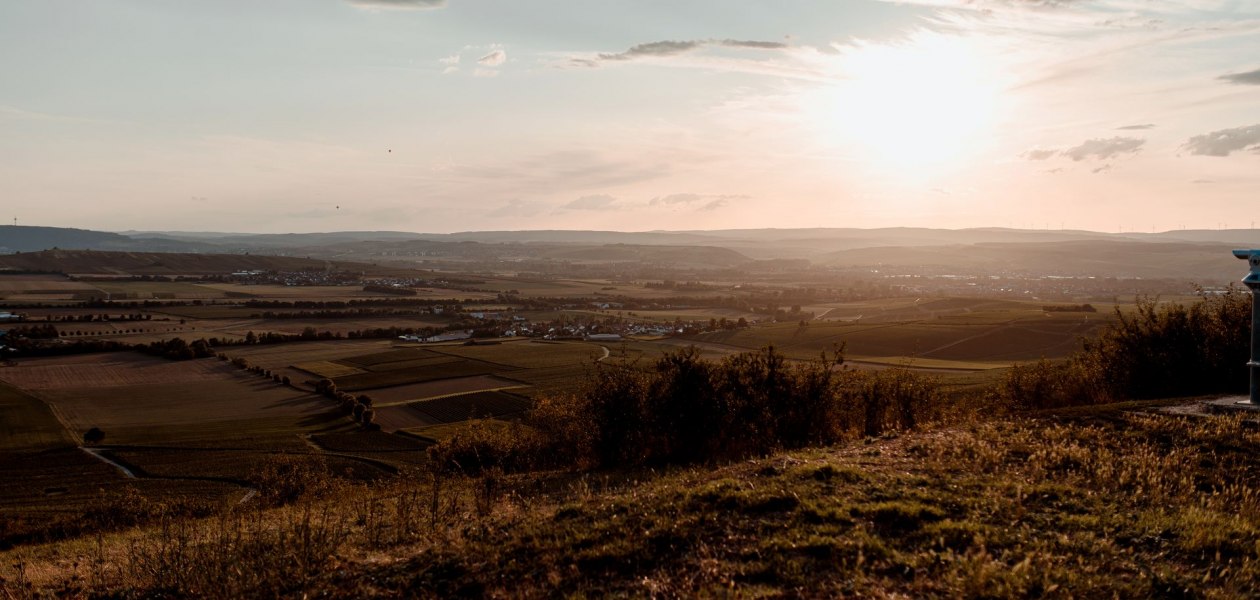 Andreas Brummund_Weinberge, © Andreas Brummund - die WeinWerkstatt