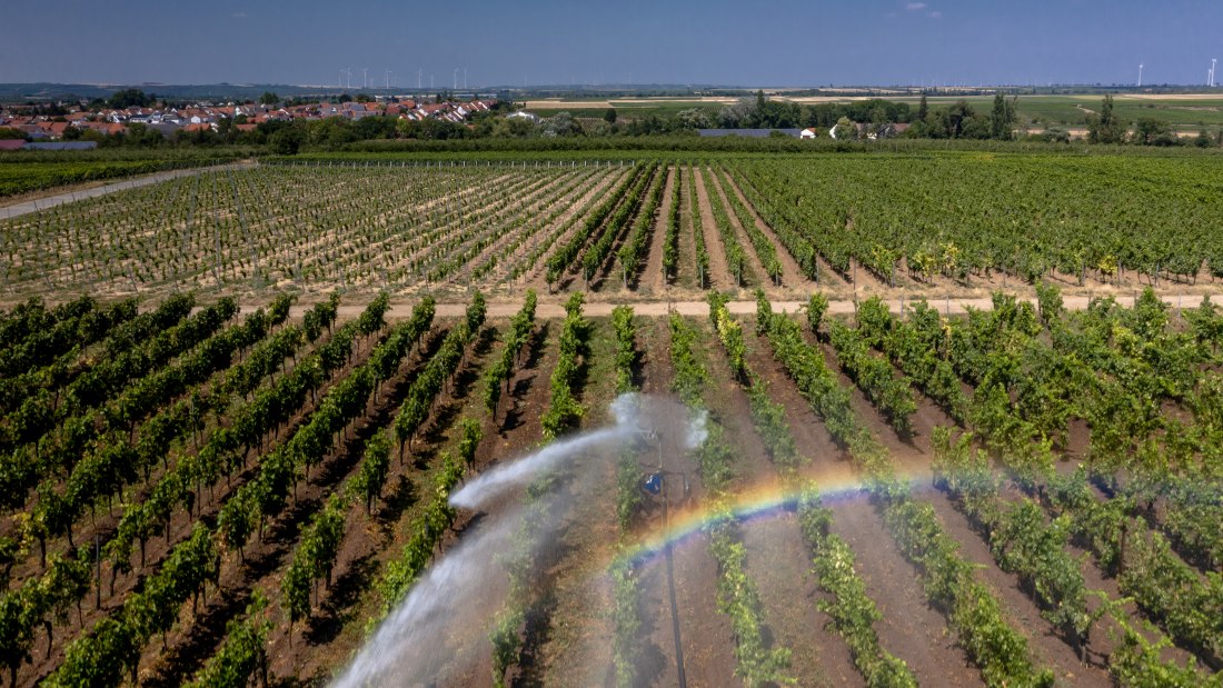 Offsteiner Engelsberg