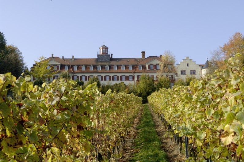 4Schloss_front, &copy; Weingut Schlo&szlig; Westerhaus