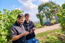 20151009_d800_7876_preview, &copy; Weingut Geil