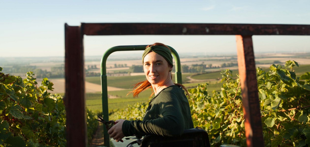 schittler2, © Weingut Schittler & Becker