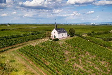 Abenheimer Klausenberg