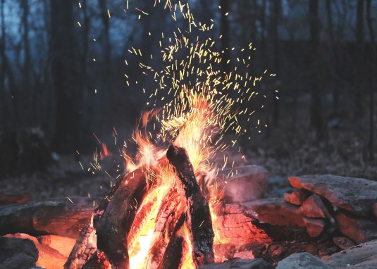 ayla-meinberg-xqV9QdGOSas-unsplash