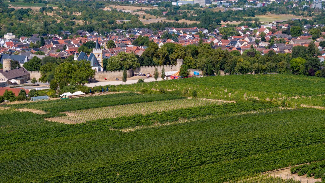 Ingelheimer Burgberg-112 Kopie, &copy; Torsten Silz