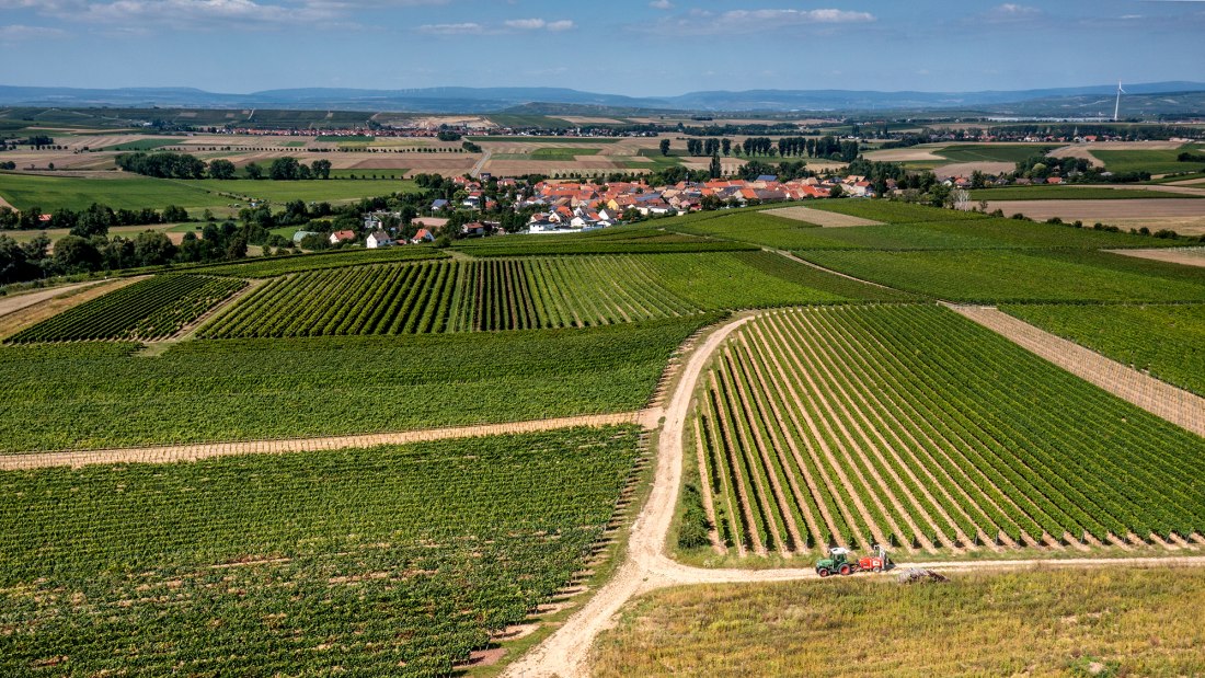 Eckelsheimer Kirchberg