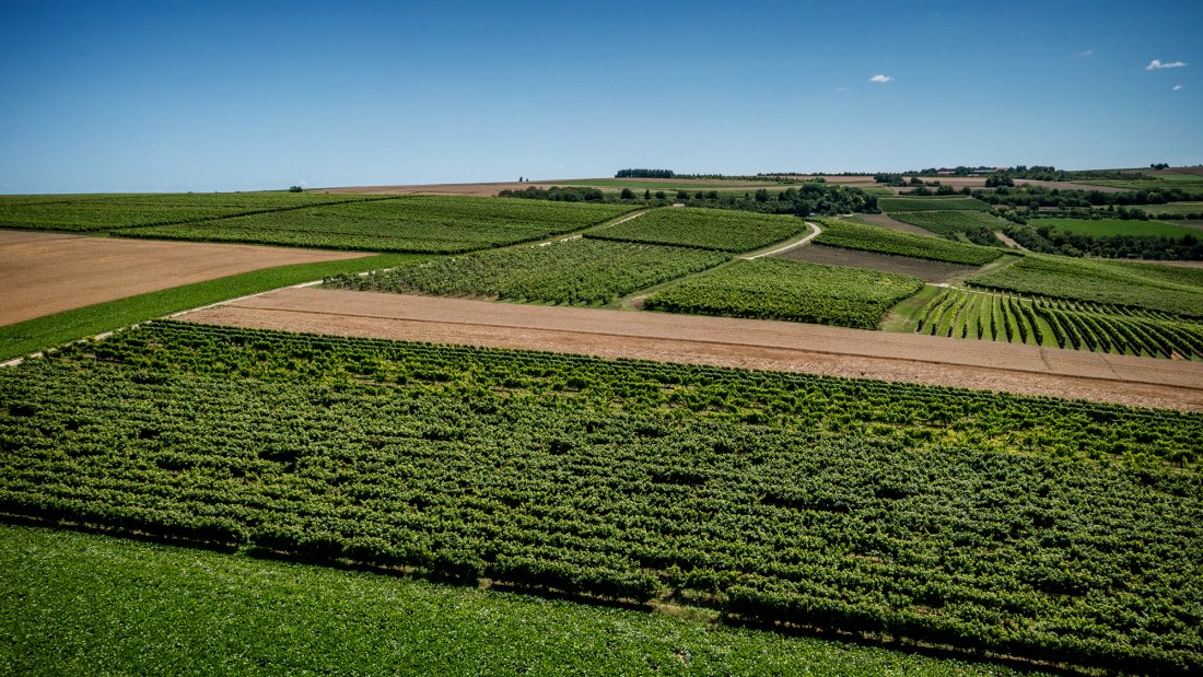 Klein-Winternheimer Geiershölle