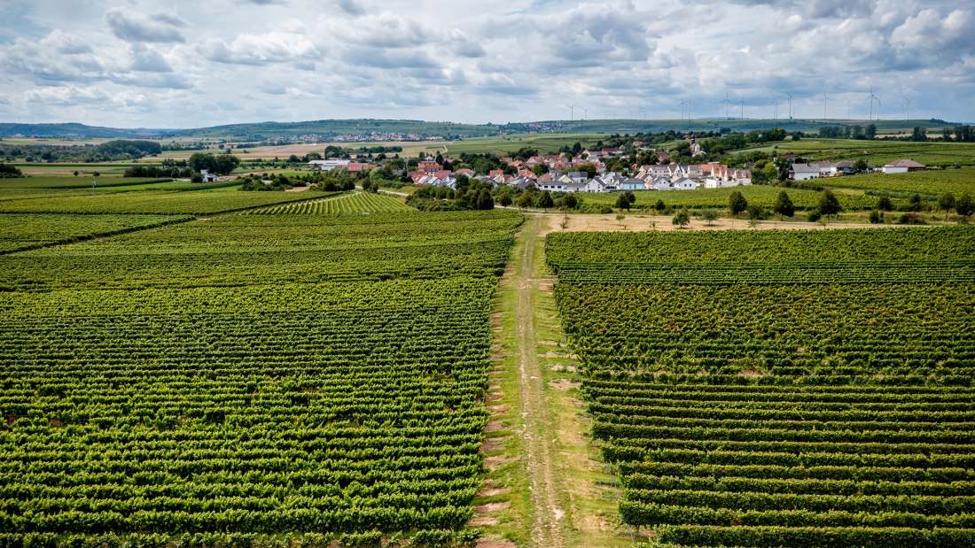 Hohen-Sülzener Kirchenstück