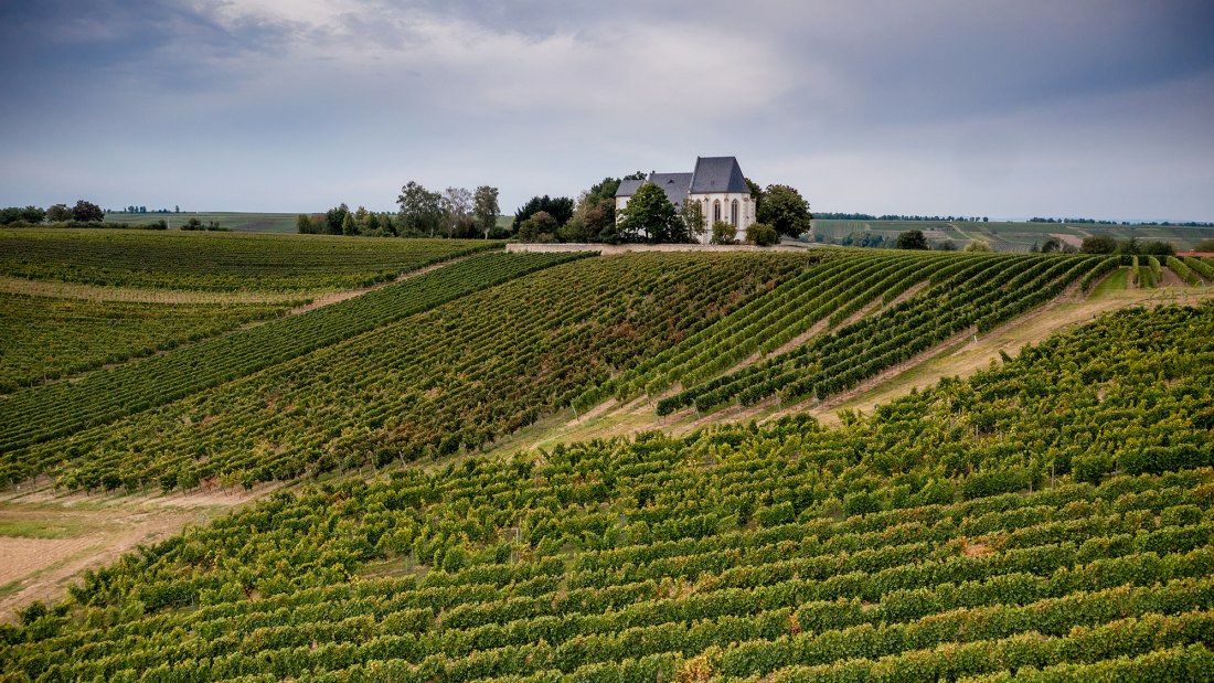 Udenheimer Kirchberg