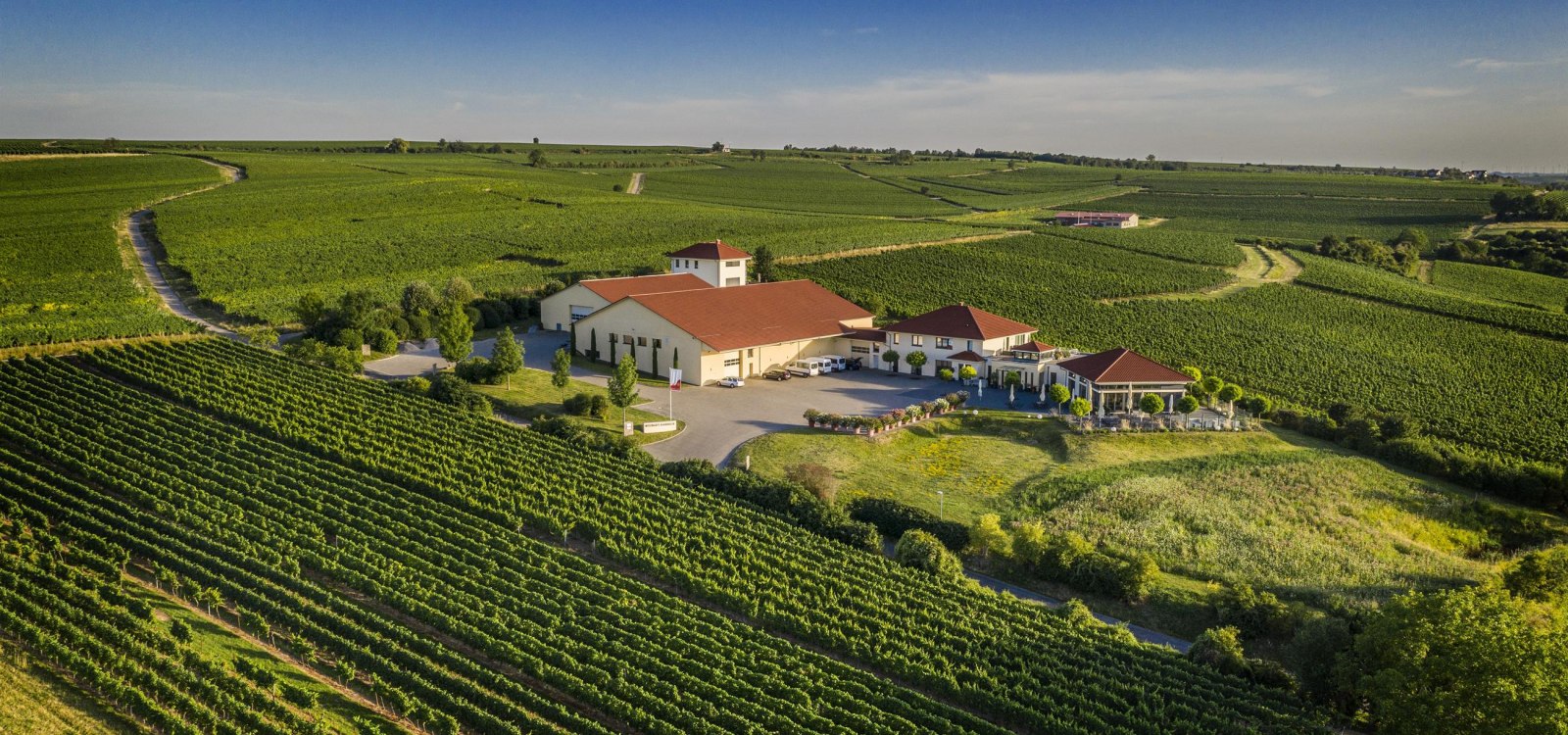Weingut Raddeck Nierstein, &copy; Weingut Raddeck