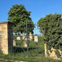 J&uuml;discher Friedhof 2 &copy; TI Alzey