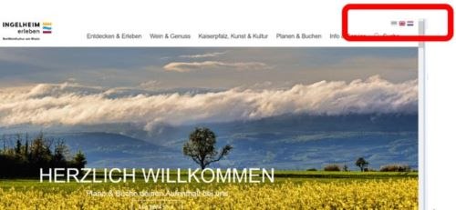 Leichte Sprache - Sprachwechsler