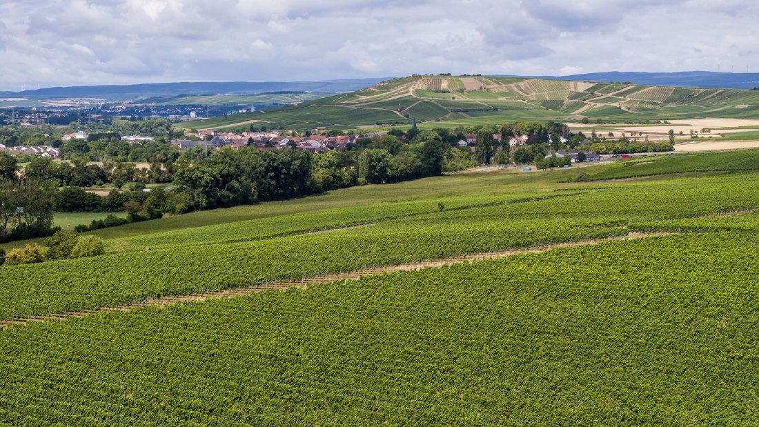 Badenheimer Galgenberg