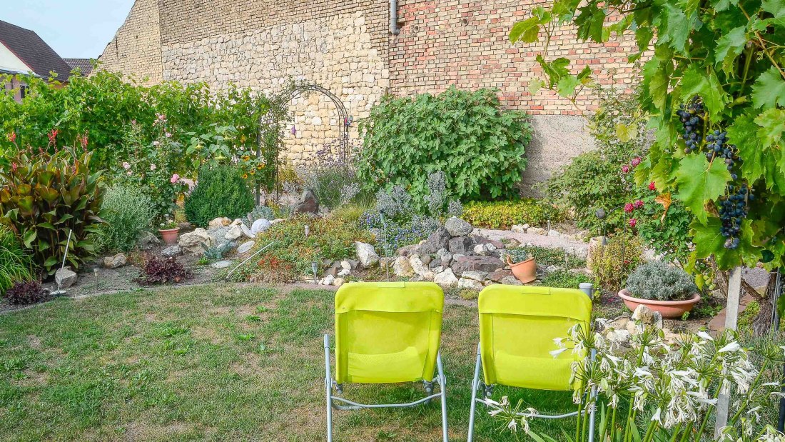 Pfaff Wines Garden Internet, &copy; PFAFF WEINE