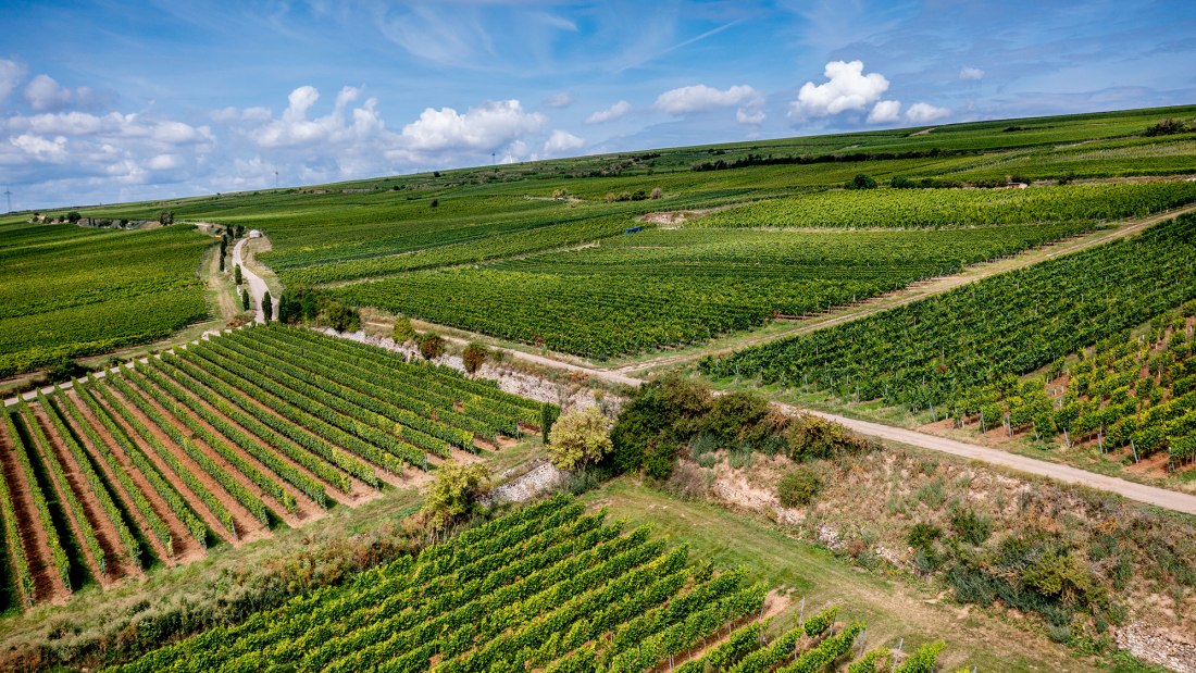 Westhofener Brunnenhäuschen