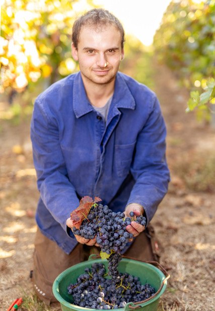 eckert-3, &copy; Weingut Eckert