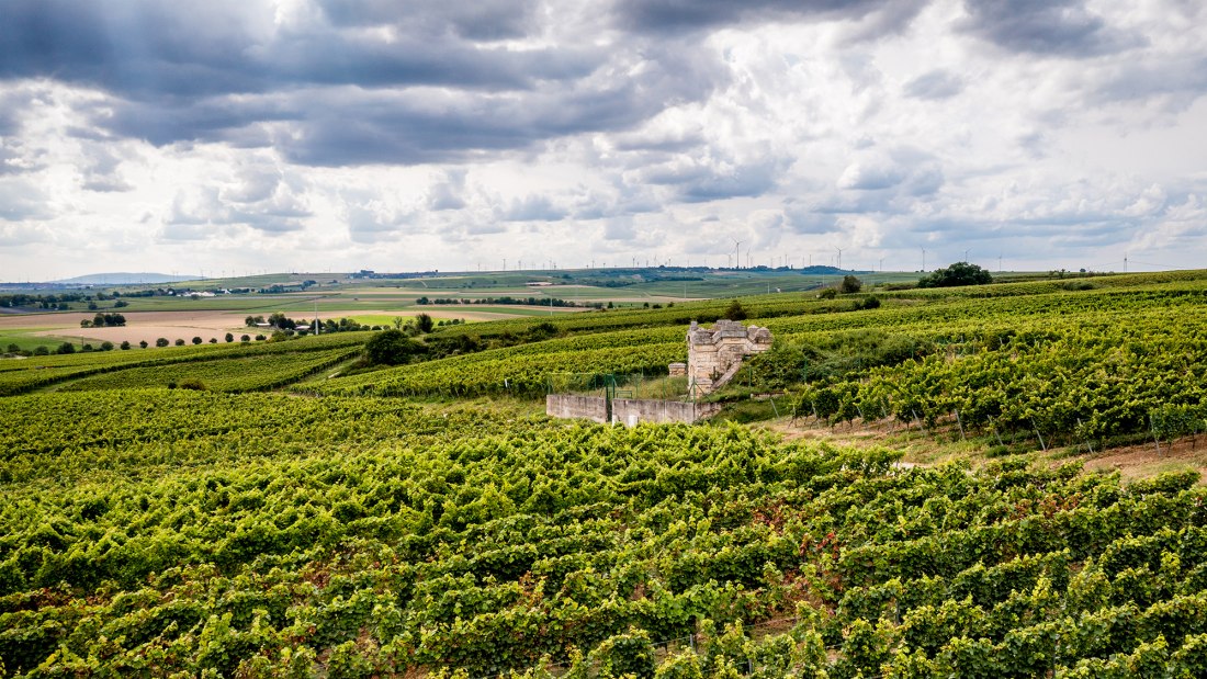 Bechtheimer Rosengarten