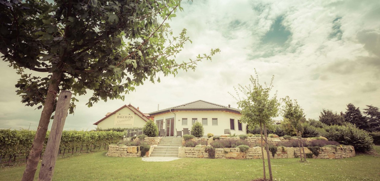 exterior vinotheque, © Weingut Hagemann