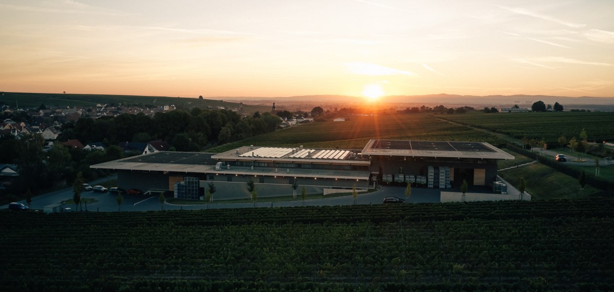 Weingut Dreissigacker_Weingut, &copy; Weingut Dreissigacker