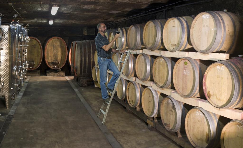 Weingut Weitzel, © Weingut Weitzel