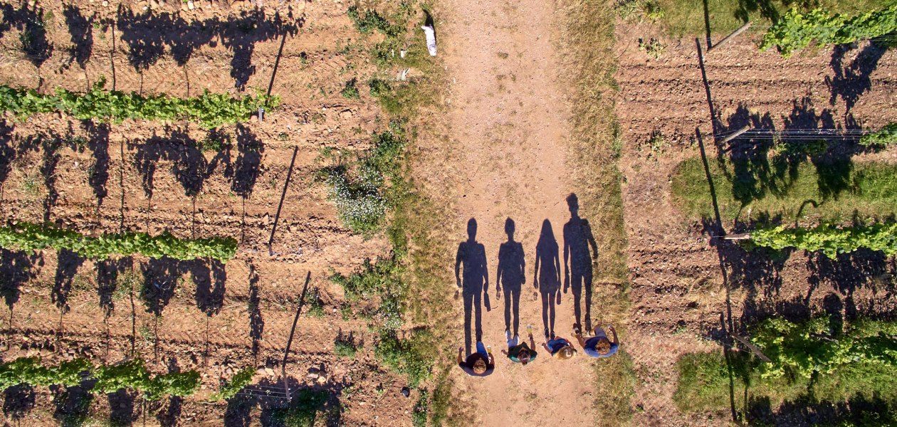 Weingut Laubenstein_Schatten, &copy; Weingut Laubenstein