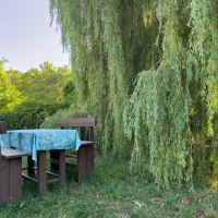 Radlertreff am Selztalradweg