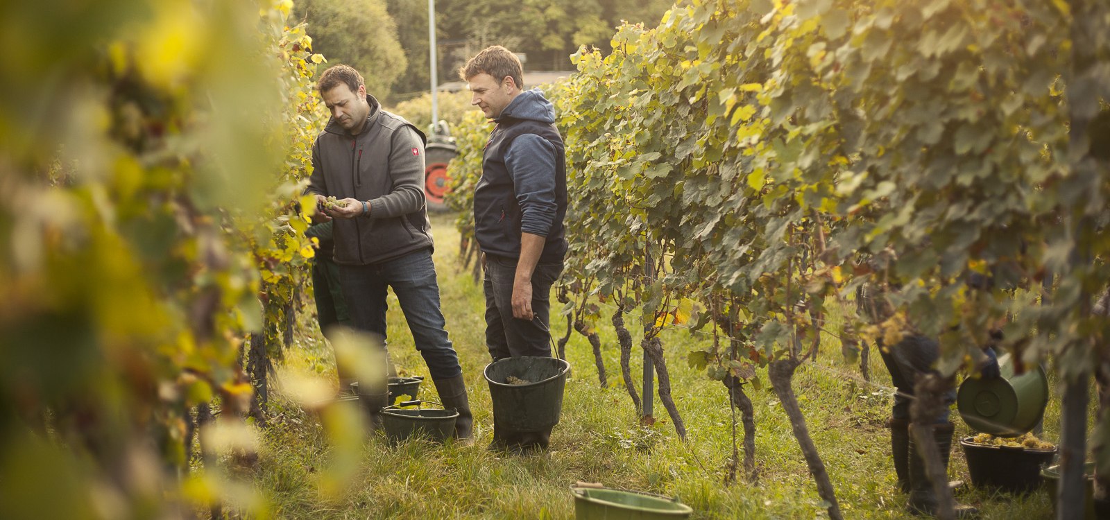 &copy; Weingut Karl May