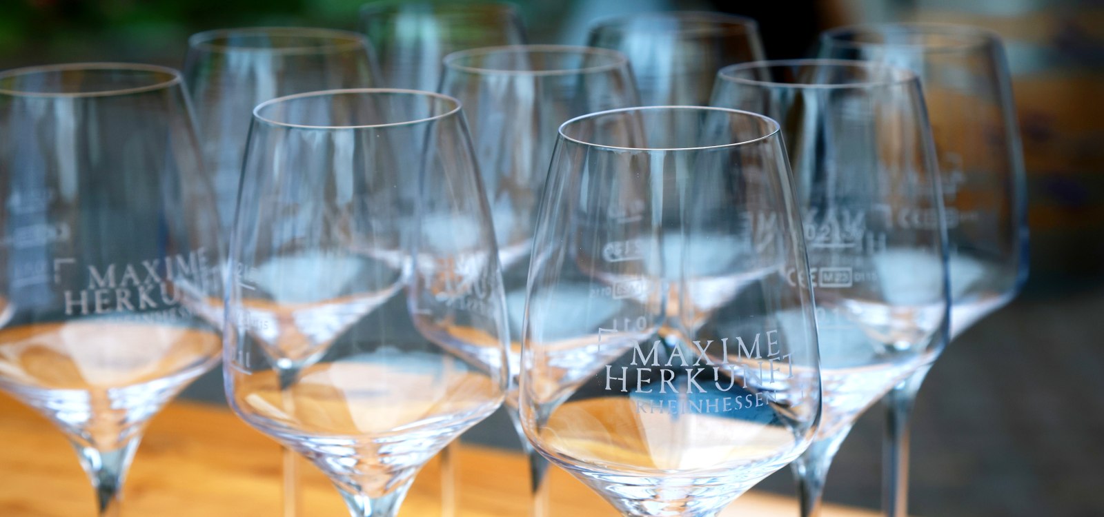 Maxime Open 2026 kommt nach Ingelheim, &copy; Maxime Open