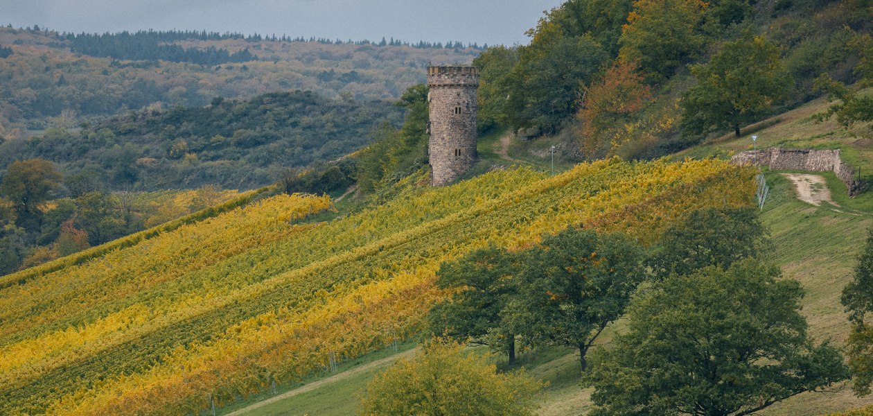 Wagner_Stempel_HEERKRETZ_mitAjaxTurm_&copy;PeterBender_604, &copy; Peter Bender