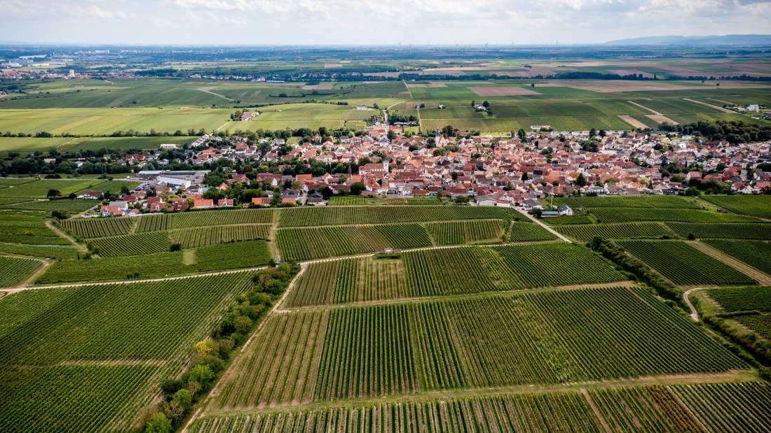 Bechtheimer Rosengarten