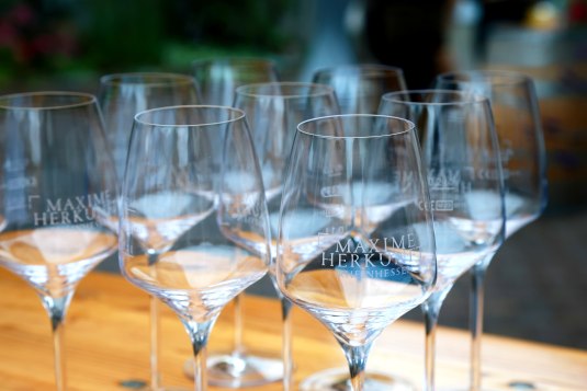 Maxime Open 2026 kommt nach Ingelheim, &copy; Maxime Open